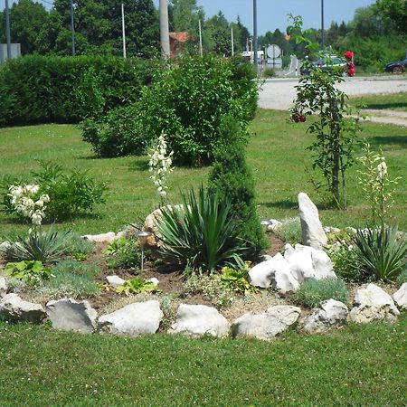 Guest Accommodation Marko Kesic Grabovac  Exterior foto
