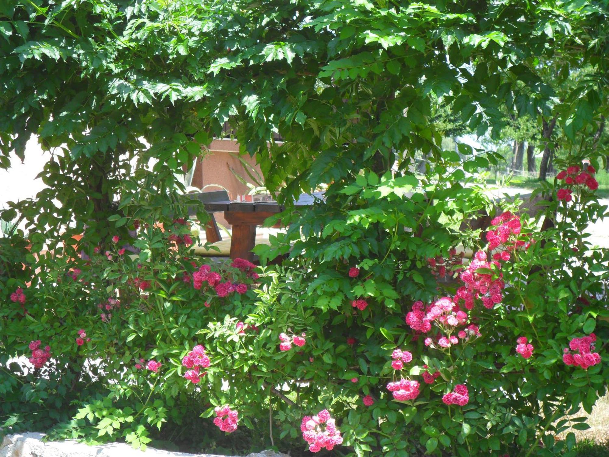 Guest Accommodation Marko Kesic Grabovac  Exterior foto