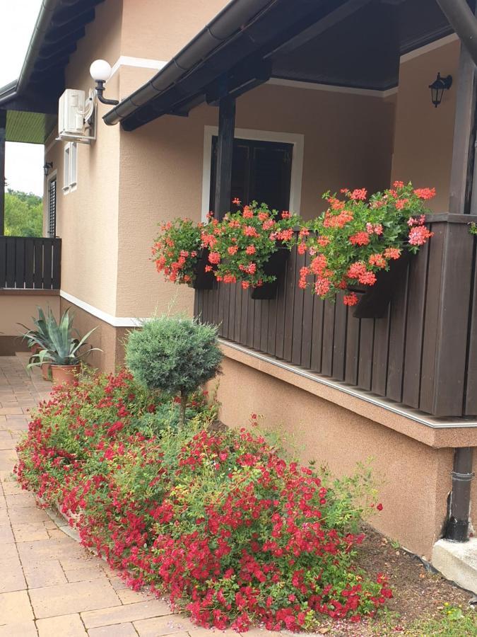 Guest Accommodation Marko Kesic Grabovac  Exterior foto